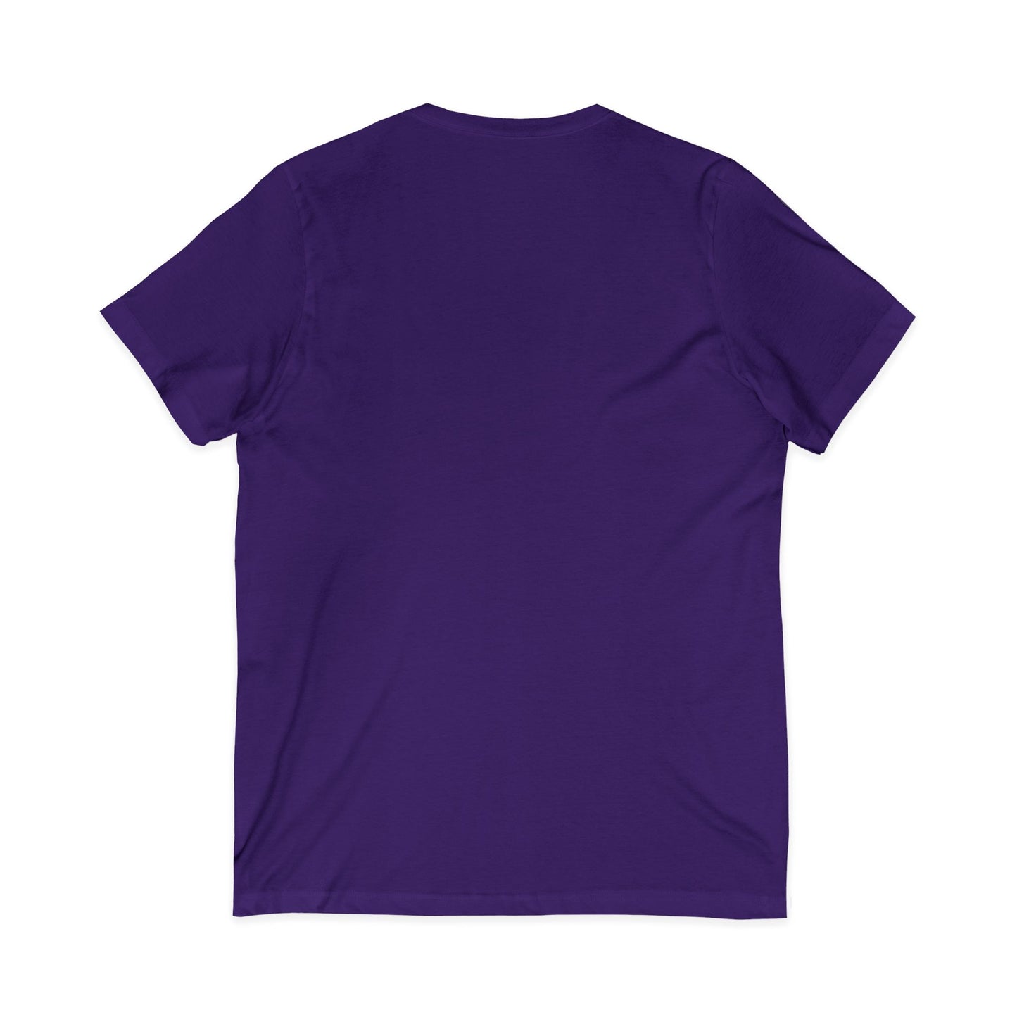Star of the North Unisex Jersey Short Sleeve V-Neck Tee Version 2